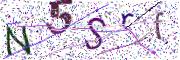 Obrázková CAPTCHA