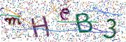 Obrázková CAPTCHA