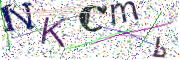 Obrázková CAPTCHA