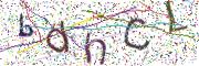 Obrázková CAPTCHA