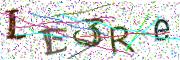 Obrázková CAPTCHA