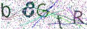 Obrázková CAPTCHA