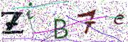 Obrázková CAPTCHA