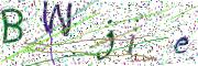 Obrázková CAPTCHA