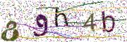 Obrázková CAPTCHA