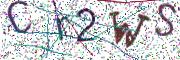 Obrázková CAPTCHA